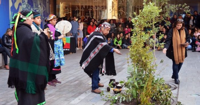 We Tripantu: Año Nuevo Mapuche en Museo Violeta Parra