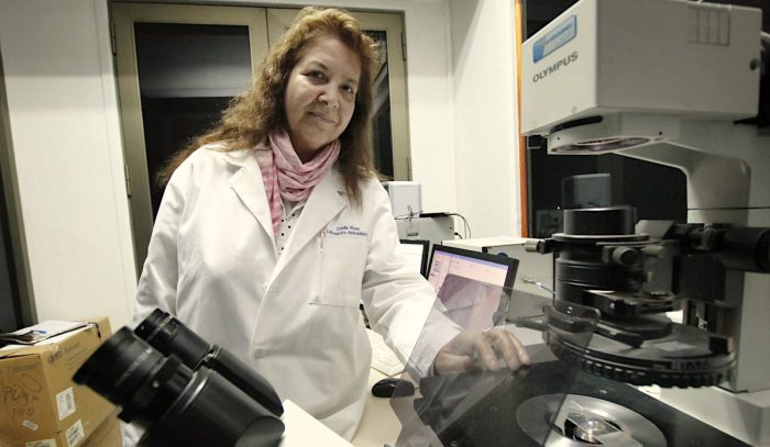 Científicos UdeC descubren mecanismo clave para combatir células cancerígenas