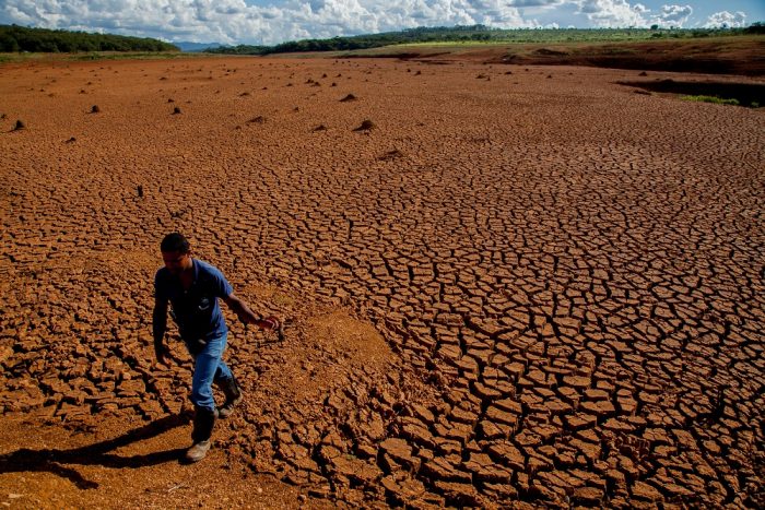 Día Mundial contra la Desertificación y la Sequía: Chile y el mundo se secan