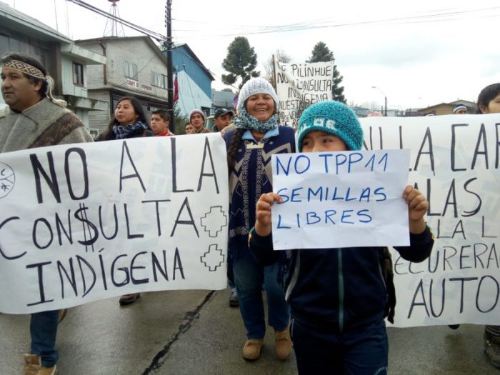 Gobierno posterga consulta indígena en Ercilla por «motivos de seguridad» relacionados con la oposición mapuche
