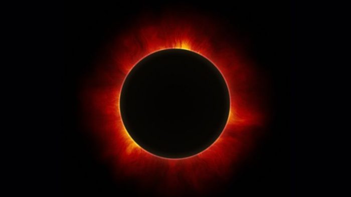 Neurociencia: científicos investigan efectos biológicos en los ecosistemas durante los eclipses