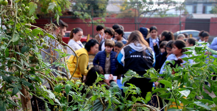 Colegios municipales consolidan prácticas medioambientales y aprenden a gestionar una huerta escolar