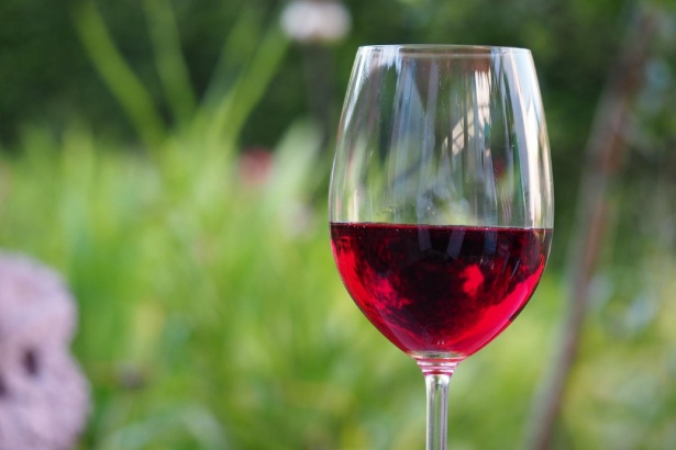 «Arauco tiene un viñedo»: los viñadores del Nuevo Extremo