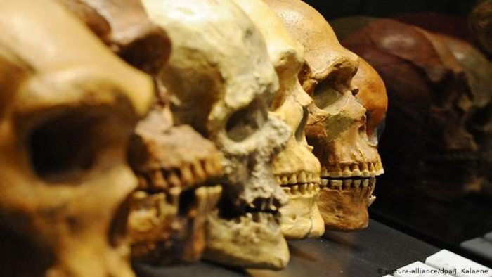 Grecia: identifican al Homo sapiens no africano más antiguo