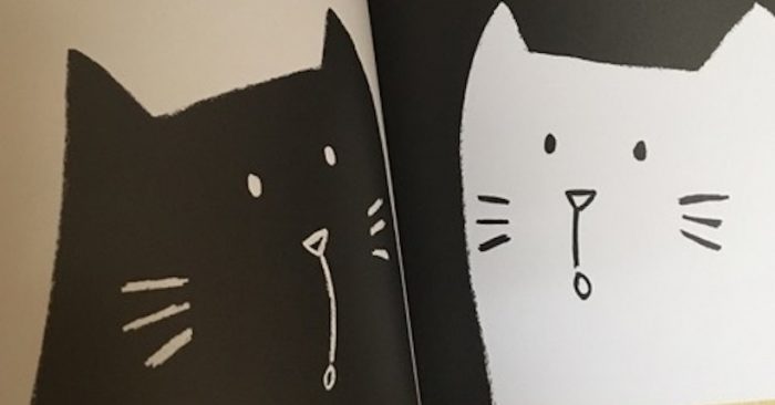 Libro infantil  «Gato negro, Gata Blanca»: enseñar sobre el valor de las diferencias