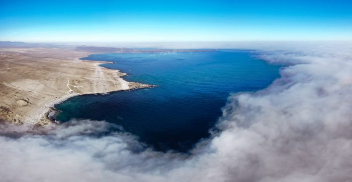 La lucha de los habitantes de Bahía Chascos por proteger la biodiversidad del lugar ante proyecto energético