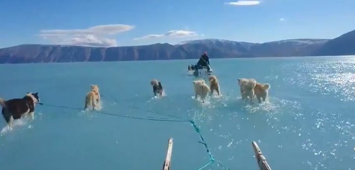 Graves efectos del cambio climático: video muestra las consecuencias del derretimiento de hielo en Groenlandia 