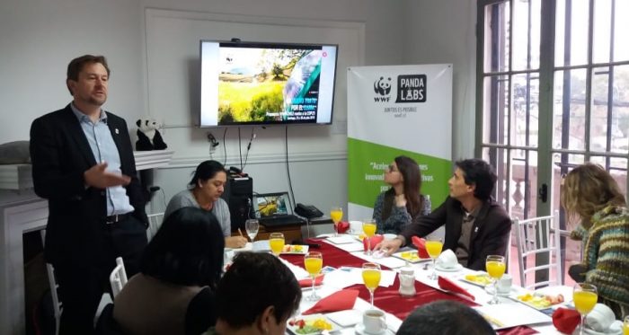 COP25: WWF presenta propuestas para descarbonizar Chile y adaptarse al cambio climático