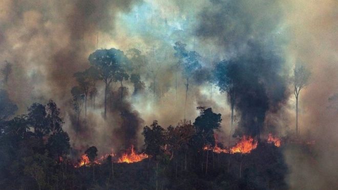 Incendios en la Amazonía: Bolsonaro dice que acepta ayuda internacional siempre que tenga control sobre el dinero