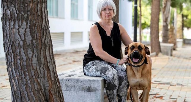 Perros ayudan terapéuticamente a víctimas de violencia machista en España