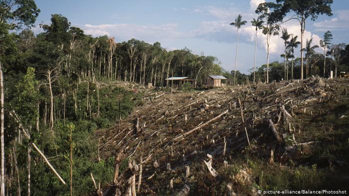 Bolsonaro: datos «falsos» de deforestación perjudican a Brasil