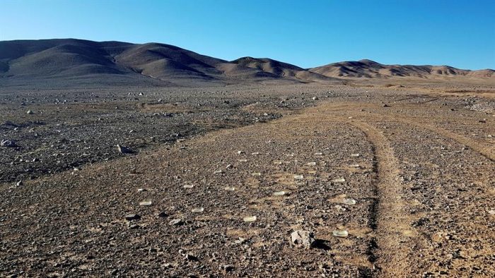 El viento que lleva vida al Desierto de Atacama