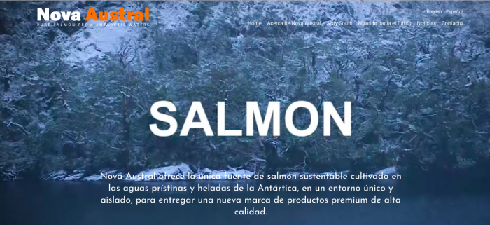 Salmon Leaks II: las manipulaciones y engaños en toda la cadena de producción de salmonera Nova Austral