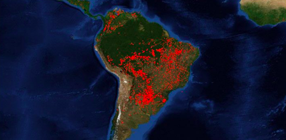 Paulo Moutinho, científico brasileño, ante la tragedia en la Amazonía: “Lo más urgente es detener la deforestación”