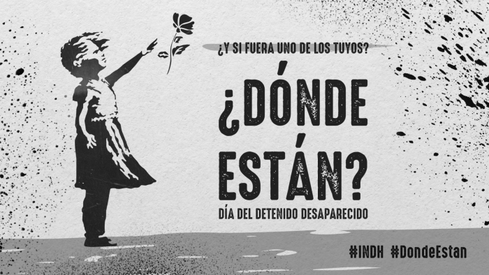 INDH proyectará imagen recordando a los detenidos desaparecidos en el Museo Nacional de Bellas Artes