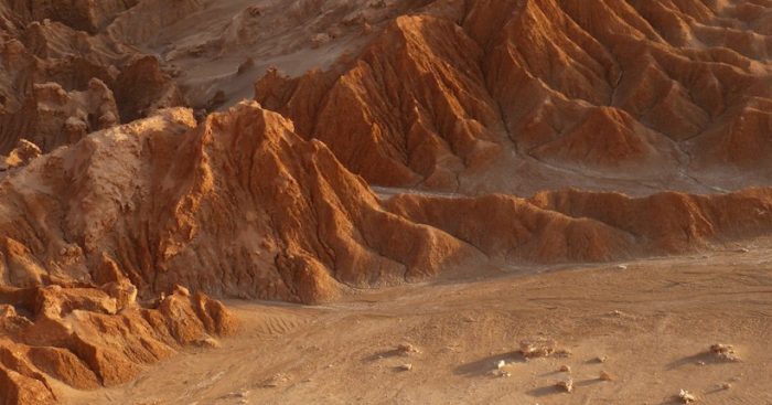 Astrobiólogo chileno investiga la adaptación de vida en Desierto de Atacama para proponer modelo análogo de Marte