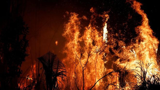 Por qué Noruega donó US$1.200 millones al Amazonas durante 10 años y dejó de hacerlo justo antes de los últimos incendios