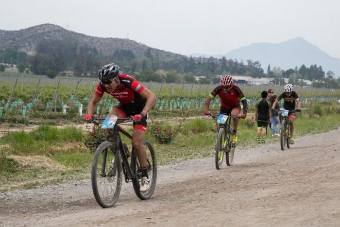 Desafío Viña Carmen: el gran evento deportivo de trailrunning y mountainbike en viñedos