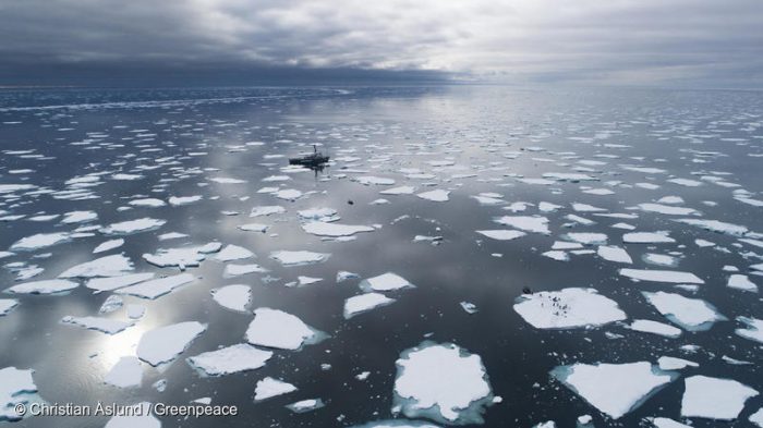 Greenpeace ante nuevo informe IPCC: «Es un último llamado de atención para enfrentar la crisis climática”