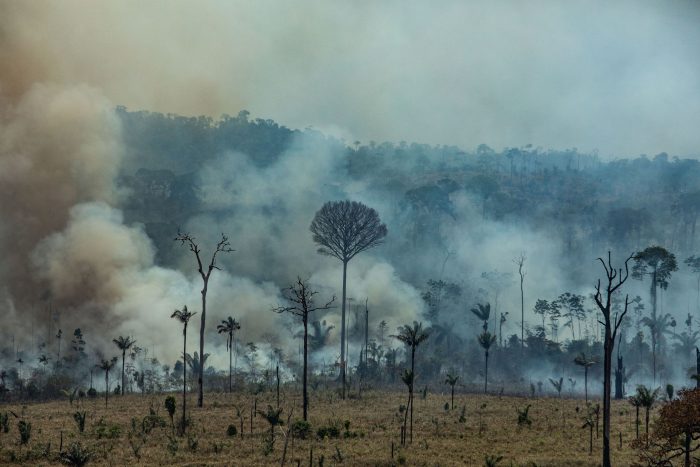 Greenpeace advierte sobre incendio en la Amazonía: «Es como si se hubiesen quemado 11 Parques Nacionales Torres del Paine»
