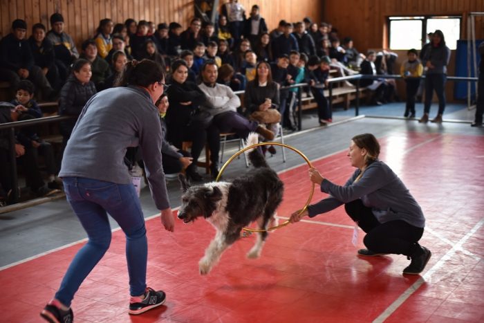 Más de 3 mil estudiantes aprendieron sobre el cuidado responsable de mascotas