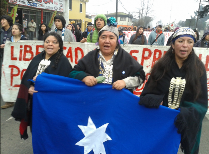 Werken Ana Llao: “No más mujeres mapuche haciendo sopaipillas y perdiéndose la discusión”