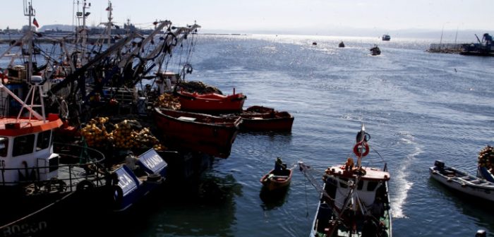 Las «siete familias» y Lota Protein: el regreso de los operadores en la Ley de Pesca