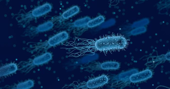 Físicos chilenos crean micromotores biológicos que permitirían dirigir el movimiento de las bacterias