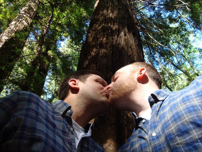 «Gen gay»: científicos descartan que pueda vincularse genética y comportamiento sexual