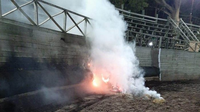 Tercer ataque en una semana: Animalistas provocan incendio en medialuna de La Ligua