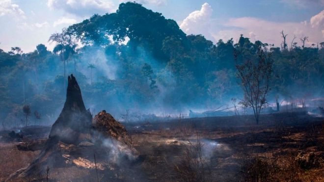 Incendios en el Amazonas: quién se beneficia de la explotación económica de la Amazonía brasileña