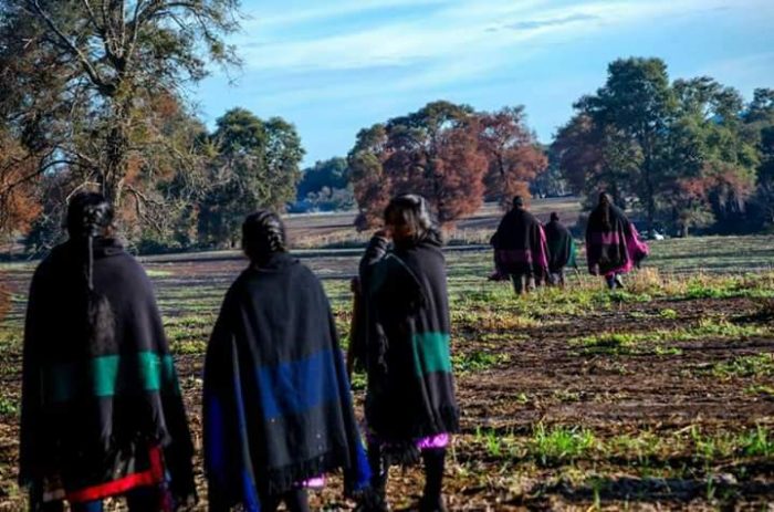 Mujeres de Temucuicui rechazan el feminismo en la lucha por el territorio ancestral: «No permitimos ningún tipo de ideología foránea»