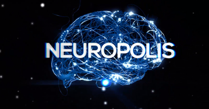 Serie científica chilena Neurópolis, una invitación a navegar por el sistema nervioso y los sentidos