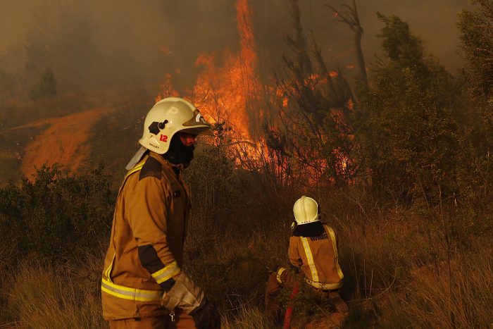 Onemi anunció alerta roja en Valparaíso por incendio forestal en Curauma