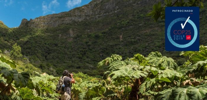 Turismo se enfoca en la COP25 y la sustentabilidad para recuperarse