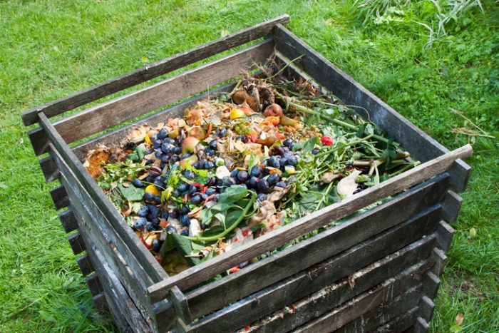 Residuos orgánicos: el valor del compostaje y el vermicompostaje