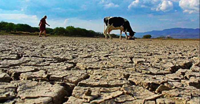 Académica de la Universidad de Talca advierte aumento de la sequía ante indicios del fenómeno «La Niña»