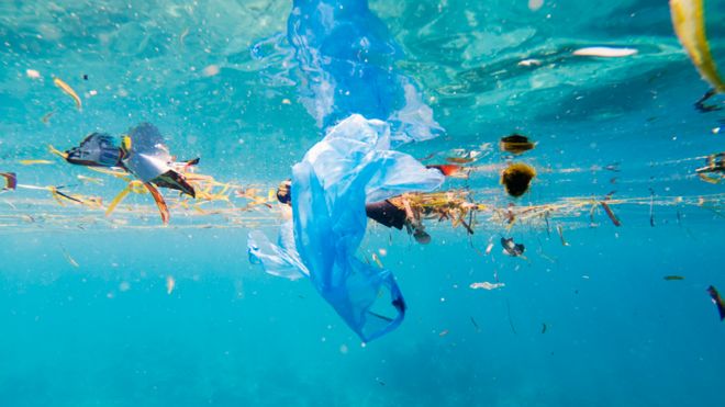 «Rompiendo la ola de plástico»: comunidad académica internacional advierte que en 2025 podrían haber más plásticos que peces en el océano