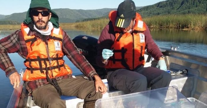 ADN ambiental en Chile: científicos toman muestras de agua para identificar especies
