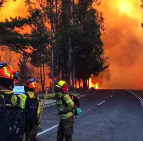Se reactiva incendio que afecta a la comuna de Quintay, en la región de Valparaíso