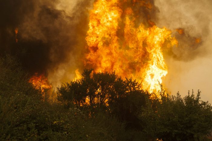 Incendios forestales en Chile: una gobernanza incompleta