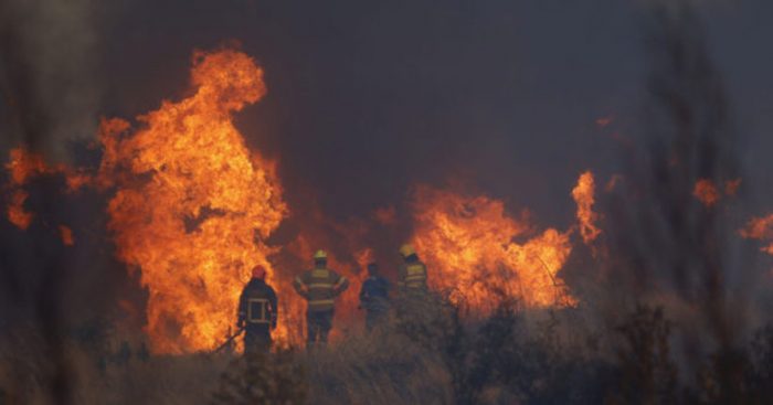 Rafael García, científico del IEB, advierte que el mayor riesgo de incendios forestales «es la falta de una política fuerte de prevención»