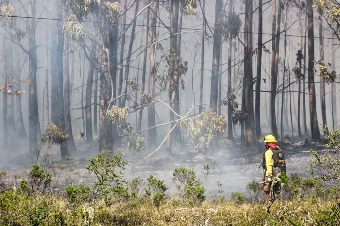 Ministerio Público responde al Gobierno por incendios en La Araucanía: «No es posible referirse a la intencionalidad»