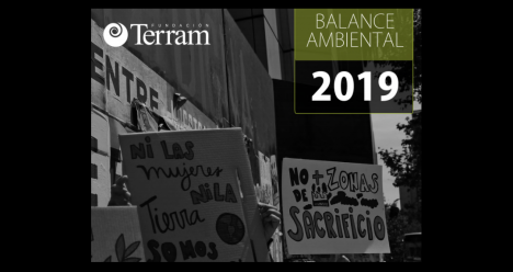 Fundación Terram otorga, en su balance anual, el premio Aporte Ambiental a los reportajes “Salmon Leaks” de El Mostrador