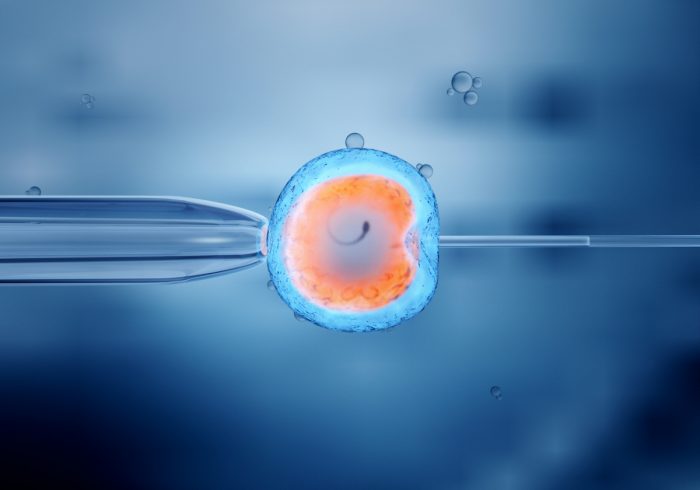 Clínica de Oncofertilidad: proyecto preserva la fertilidad en personas con cáncer