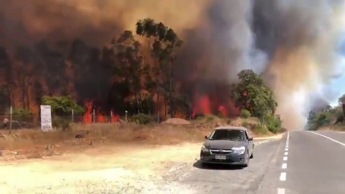 Decretan Alerta Roja en San Pedro de Melipilla por incendio forestal cercano a sectores habitados
