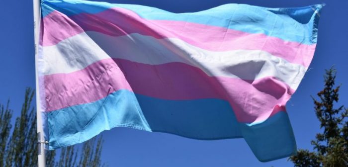 Ataque transfóbico: mujer trans queda desfigurada tras recibir golpiza mientras esperaba locomoción