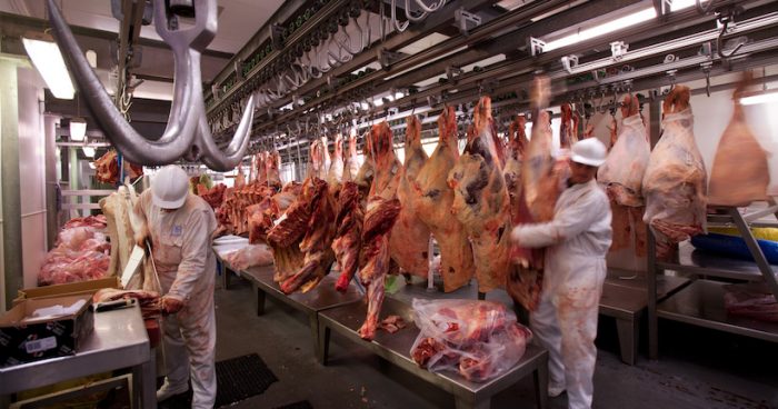 COP25: La ciencia aboga por reducir el consumo de carne contra la crisis climática