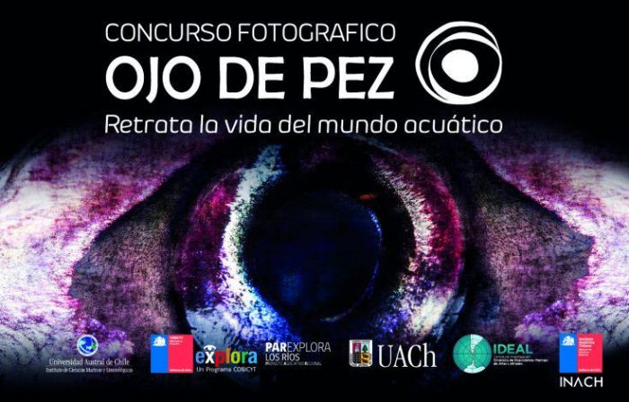 En diciembre inicia la presentación de las mejores fotografías del concurso Ojo de Pez 2019