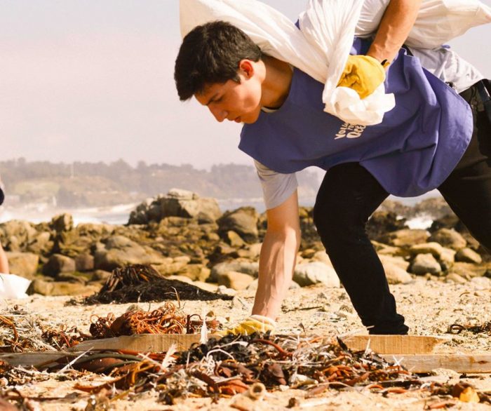 Inicia la campaña anual de Voluntarios Por el Océano: revisa las fechas de limpieza de playas para este verano